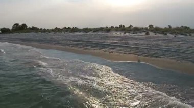 Martı ile akşam denizde hava görünümünü kumlu plaj