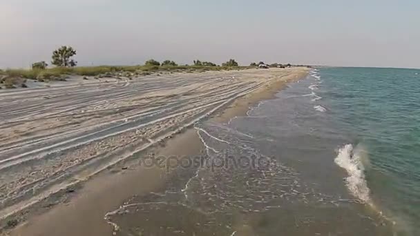 Luftaufnahme Sandstrand des Meeres am Abend mit Möwe — Stockvideo