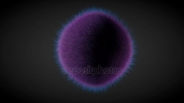 Gördülő lila szőr labda elszigetelt fekete háttér. 3D Rhodes — Stock videók
