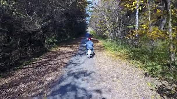 Vägen från tegel i den gula hösten skogen withboy o skotern — Stockvideo