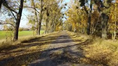 Salonu ve çocuk sarı sonbahar ormanıyla yolda binmek bir scooter üzerinde