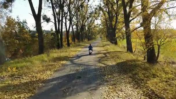 在黄色的秋天森林的道路与胡同和男孩骑摩托车 — 图库视频影像