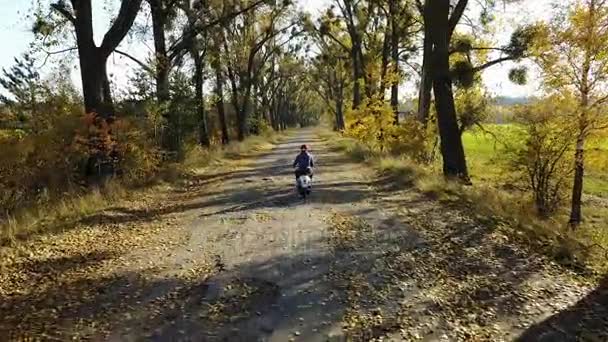 The road in the yellow autumn forest with alley and boy ride on a scooter — Stock Video