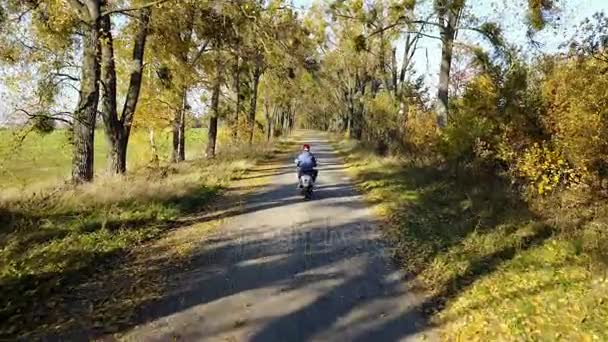 De weg in het gele herfst bos met alley en jongen rijden op een scooter — Stockvideo