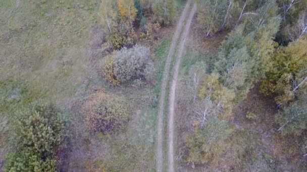 Vue aérienne du champ avec des arbres couverts de feuillage jaune et un lac en arrière-plan 