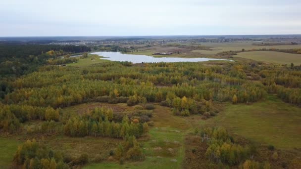 Luftaufnahme des Feldes mit Bäumen mit gelbem Laub und See im Hintergrund — Stockvideo