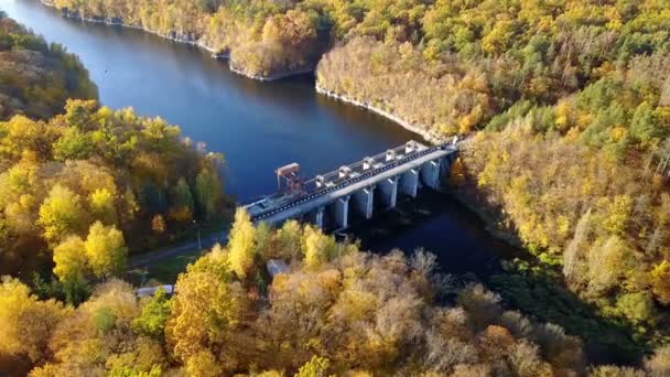 Вид с воздуха на плотину на реке с деревьями, покрытыми желтой листвой — стоковое видео