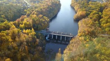 Sarı yapraklar baraj havadan görünümü nehrinde ağaçları ile kaplı