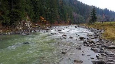 Karpat Dağları'nda bir dağ nehir havadan görünümü