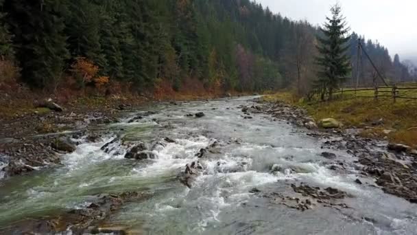 Vue aérienne d'une rivière de montagne dans les Carpates — Video