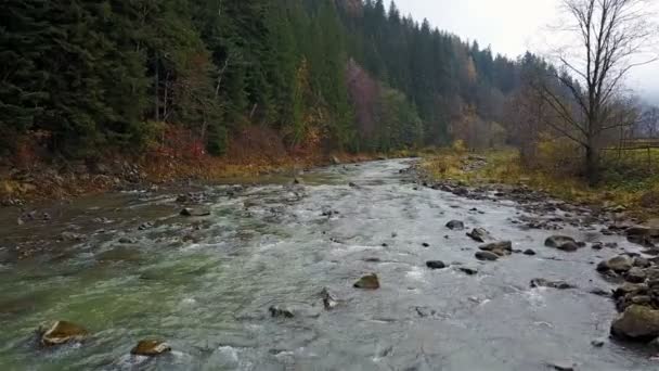 Luchtfoto van een rivier berg in de Karpaten — Stockvideo