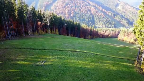 Grüne Wiese Wald Den Bergen — Stockvideo