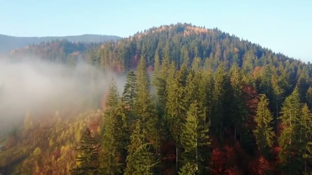 Vista Aérea Das Montanhas Com Uma Névoa Matinal — Vídeo de Stock