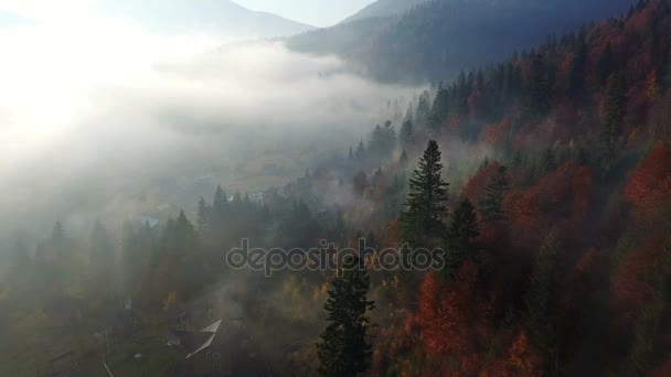 Flygfoto Över Bergen Med Morgondimma — Stockvideo