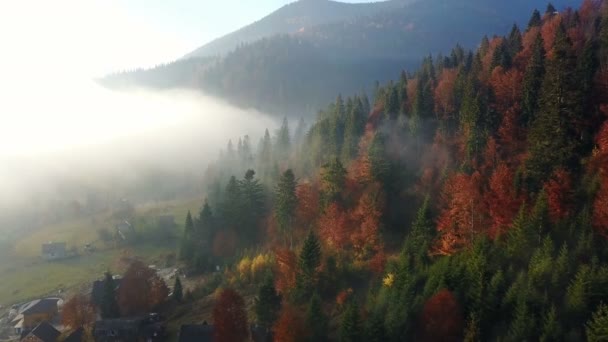 Вид Воздуха Горы Утренним Туманом — стоковое видео