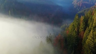 Bir sabah sis ile dağların havadan görünümü