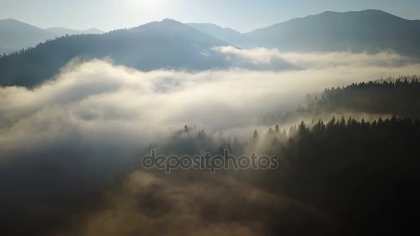 朝の霧で山の空中写真 — ストック動画