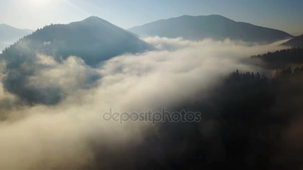 Flygfoto Över Bergen Med Morgondimma — Stockvideo