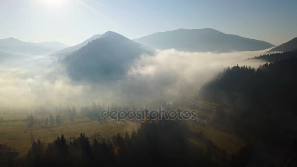 Veduta Aerea Del Campo Montagna Con Nebbia Mattutina — Video Stock