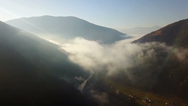 Veduta Aerea Del Campo Montagna Con Nebbia Mattutina — Video Stock