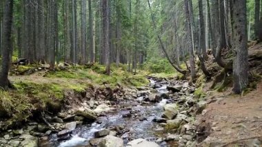 Bir dağ dere akar taş bir eğim aşağı bir görünümü