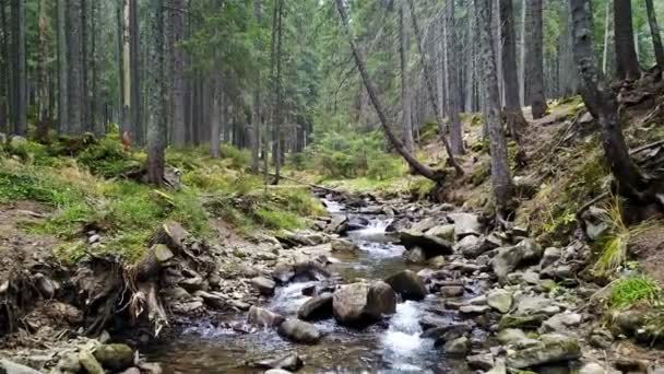Vue d'un ruisseau de montagne qui descend une pente de pierres 