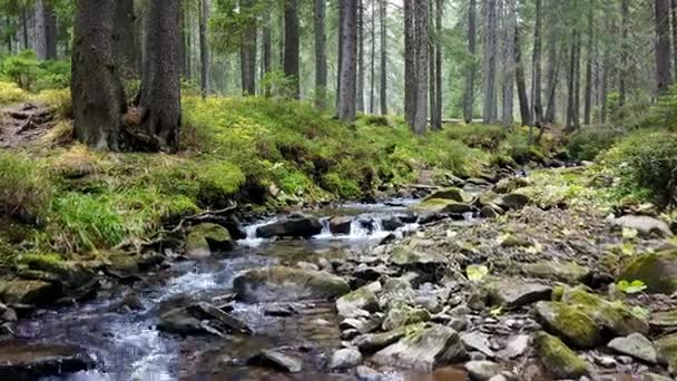 Vue d'un ruisseau de montagne qui descend une pente de pierres 