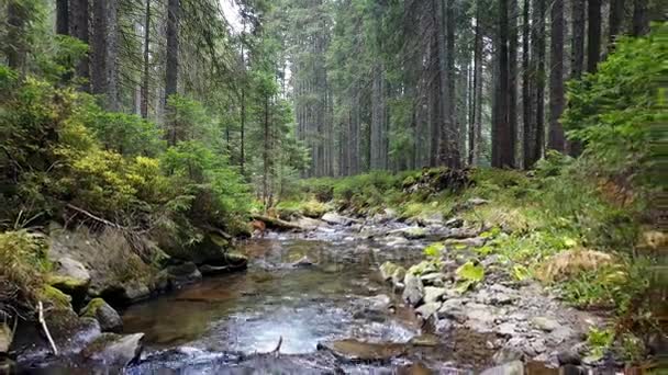 Vue d'un ruisseau de montagne qui descend une pente de pierres 