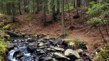 Bir dağ dere akar taş bir eğim aşağı bir görünümü