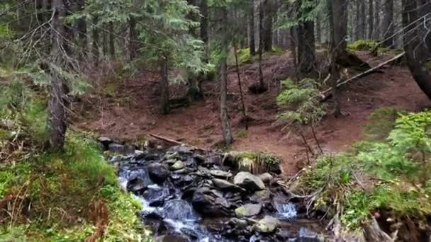 Vue d'un ruisseau de montagne qui descend une pente de pierres 