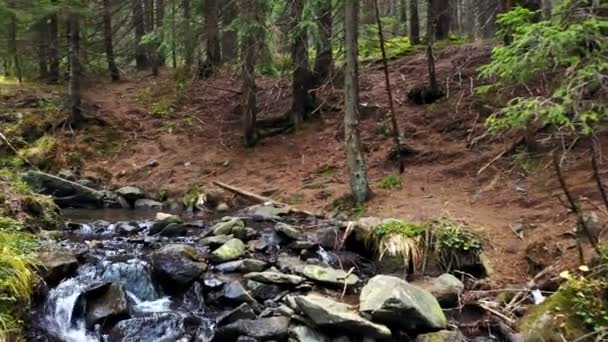 Una Vista Arroyo Montaña Que Fluye Por Una Pendiente Piedras — Vídeo de stock