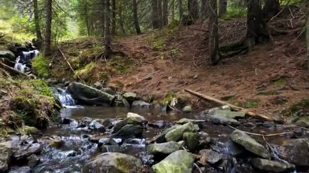 渓流の石の斜面を流れにダウン ビュー — ストック動画