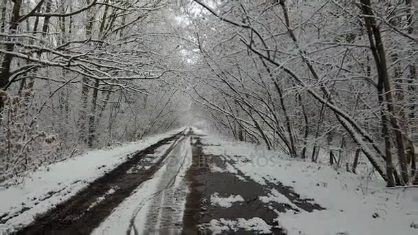 道路と茂みから雪に覆われた冬の路地 — ストック動画