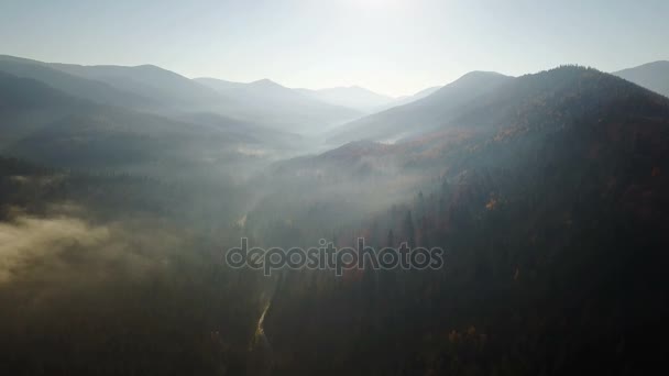 Εναέρια Άποψη Του Πεδίου Στο Βουνό Μια Ομίχλη Πρωί — Αρχείο Βίντεο