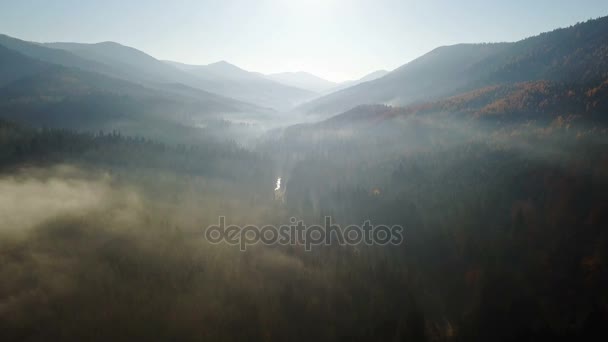 Aerial View Field Mountains Morning Fog — Stock Video