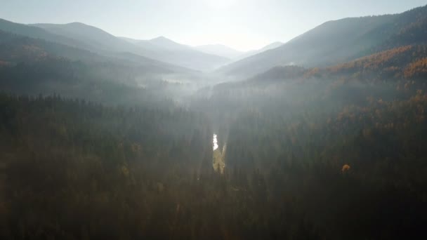 朝の霧山にあるフィールドの空撮 — ストック動画