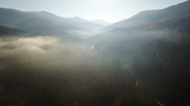 Flygfoto Över Fältet Berg Med Morgondimma — Stockvideo