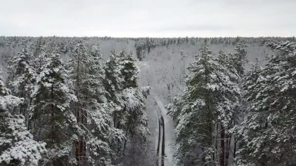 冰雪覆盖的冬木胡同 — 图库视频影像