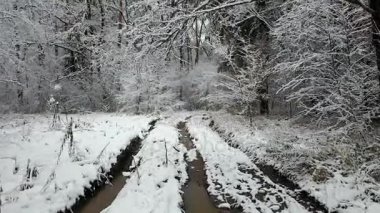 Ditry road kış ormandaki görünümünü