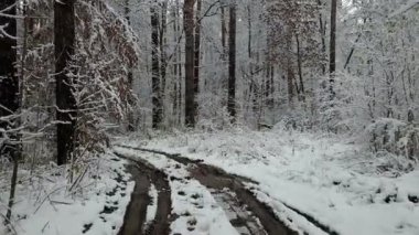Ditry road kış ormandaki görünümünü