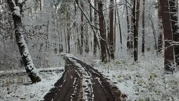 View Ditry Road Winter Forest — Stock Video