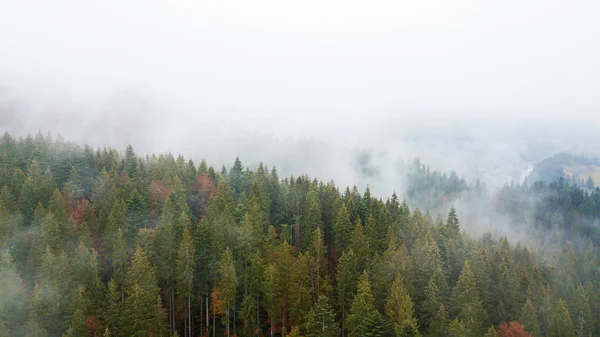 Vista aérea de las montañas con niebla matutina — Foto de Stock