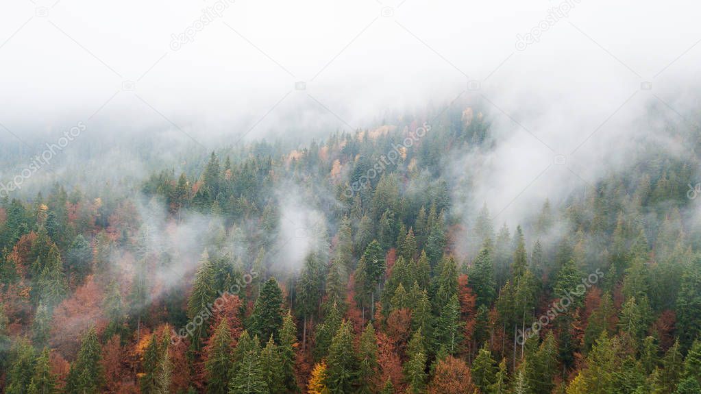 Aerial view of the mountains with a morning fog
