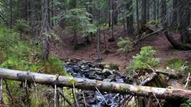 Bir dağ dere akar ahşap günlükleri taşlarla bir eğim aşağı bir görünümü