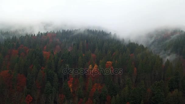 Luchtfoto Van Bergen Met Een Ochtend Mist — Stockvideo