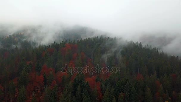 Flygfoto Över Bergen Med Morgondimma — Stockvideo