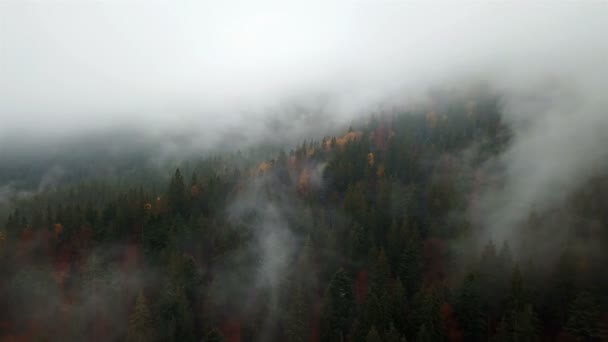 Vista Aérea Las Montañas Con Niebla Matutina — Vídeos de Stock