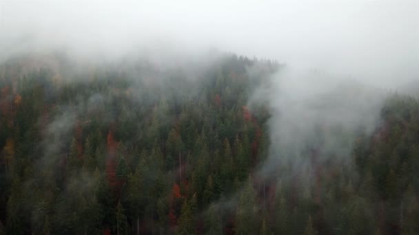 Luftaufnahme Der Berge Mit Morgennebel — Stockvideo