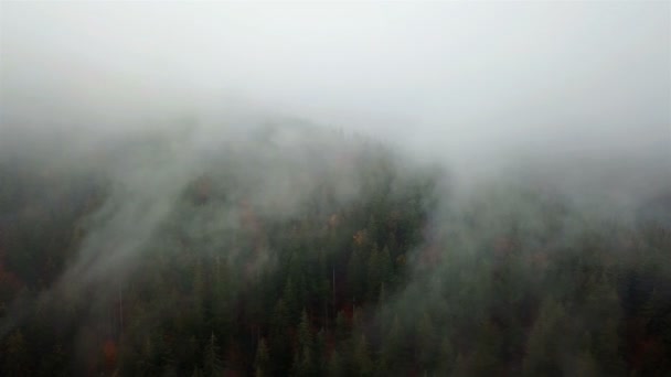 Vue Aérienne Des Montagnes Avec Brouillard Matinal — Video