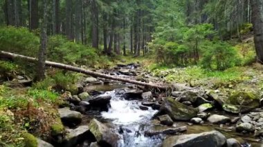Bir dağ dere akar ahşap günlükleri taşlarla bir eğim aşağı bir görünümü